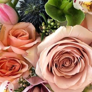 Meet your Posher, Laura